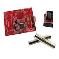 Microchip Technology AC244026 Processor Extension Paks Processor Ext Pak (PIC16F727-ICE) 200K