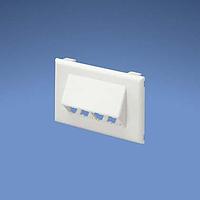 Panduit T70FH4EI Power Rated Fitting Snap-on Horizontal Sloped Communication