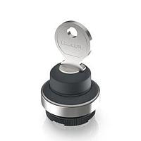 RAFI 1.30285.2210100 Keylock Switches