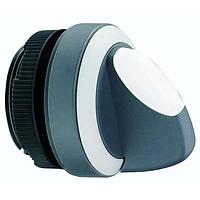 RAFI 1.30.252.802/0200 Switch Actuators SW RAF22FS SEL NO IL MET