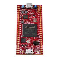 Development Boards & Kits