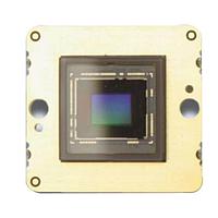 Cameras & Camera Modules