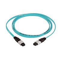 Panduit FXL12D5-5M20 Fiber Optic Cable Assemblies 12-fiber Interconnect OM3 10Gig LSZH Fem