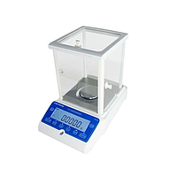 Cole parmer LB-200-224i Analytical Balance (220gx 0.0001g, Internal)