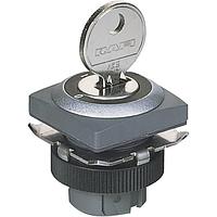 RAFI 1.30.245.501/0800 Switch Actuators RAFIX 22 QR Keylock switch 90/40