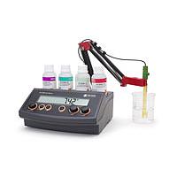 HANNA HI22091-02 pH/mV Meter with Manual Temperature Compensation (MTC) and Analog Output