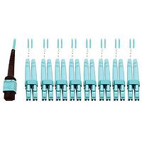 Tripp Lite N846D-03M-24CAQ Fiber Optic Cables 3M 24F MPO F/F 16SFBRPTCCBL AQ