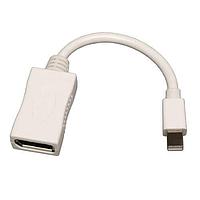 Tripp Lite P139-06N-DP Adapters 6IN MINI-DP/DP M/F ADAPTER CBL