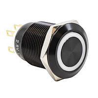 E-Switch PV4F2Y011-311 Anti-Vandal 2A 24VDC 19mm Off-(On)+On-(Off)