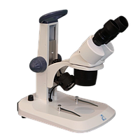Meiji Techno EM-31 Binocular Stereo Microscope (10x/30x, 20x/40x)