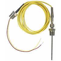 Palmer Wahl DSXPA12 Grounded Thermocouple Probes (Process Connection: 1/2" NPT Fitting)