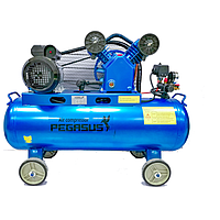PEGASUS TM-V-0.17/8-120L Belt Driven Air Compressor (220V, 8 Kg/cm, 120L)