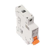 Weidmuller 2480180000 Circuit Breakers MCB 1077 1P C 32A ACDC