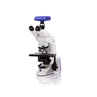 Optical microscope