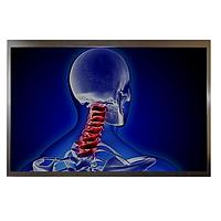 Hantronix HDA1010W-GH TFT LCD Display Modules 10.1 IN TFT LCD WXGA 1280 X 800 1000 NIT