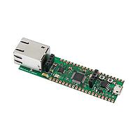 Development Boards & Kits