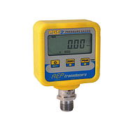 AEP Transducers PGE2 Digital Pressure Gauge (2.5 bar)