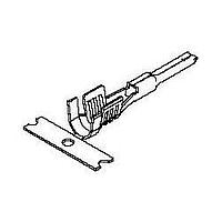 Molex 19431-0016 Terminals .300" LOOSE 10-12 MALE SN