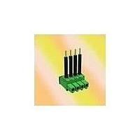 Amphenol Anytek 20020010-D021B01LF Plugs TS 3.81 2P ; "-" Green Hook on Back Side