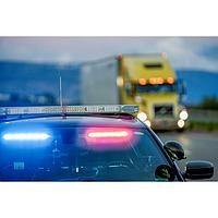 Mettler Toledo 30594793001 AxleView Application