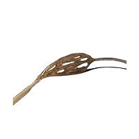 True Phantom Solutions VS-C02 Complex Blood Vessel