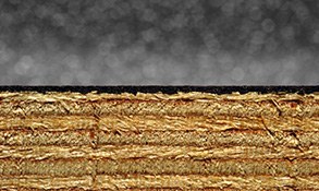 Examples of uneven interfaces between coating and wood substrate