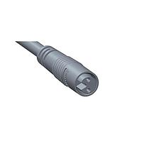 Amphenol LTW 8AP-06AFFM-QL5A03 Sensor Cables / Actuator Cables Guided M8 Circular Metric Connector, Plastic, 1.5A, 06 pins, Female Connector, Female Contact, Straight, Snap-in, Overmolded, Length 3000mm, IP65 Mated