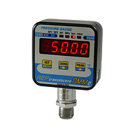 AEP Transducers DMM2 Digital pressure gauge (2000 bar)