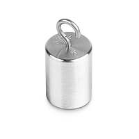 KERN 347-086-N00 Newton Weight (2 N)