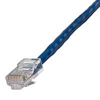 AIM-Cambridge / Cinch Connectivity Solutions 73-7772-100 Cat 5e CAT5E Assembled Patch Cable  100 ft  Blue