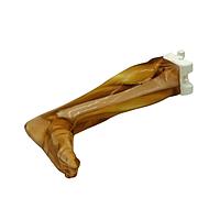 True Phantom Solutions LG-A02 Adult Leg (Muscles) For X-Ray CT, US, MRI