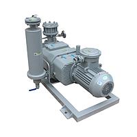 Hokaido RSP35 Dry screw vacuum pump (35 m³/h, 4 Pa, 3 kW)