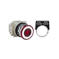 Square D 9001KR9RH2 Pushbutton Switches PSH BTTN 600VAC 10A 30MM, Type K