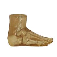 True Phantom Solutions FT-A01 Foot For X-Ray CT, US, MRI