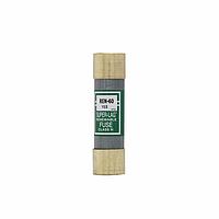 Eaton Bussmann REN-60 Renewable Fuse 250V 60A Super Lag Renewable