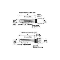 OMEGA MTS-330E2/120V Stainless Steel Immersion Heater 2.5 in NPT Process Water (3000 W, 51 W/in²)