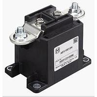 Panasonic Industrial Devices AEV19024 Automotive Relays 1 Form A 300A 24VDC Relay Curent Cut-Off
